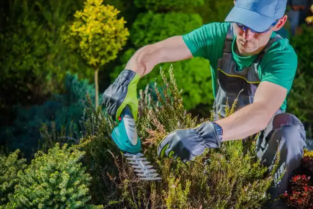 landscaping services Zeba